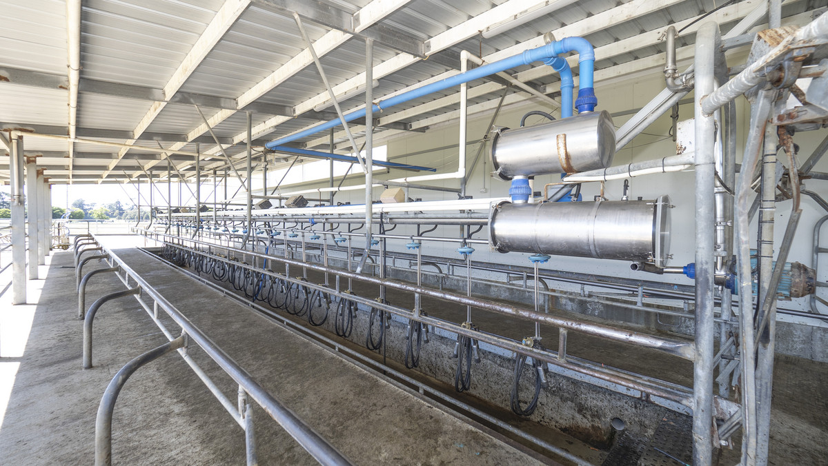 Right Size, Right Place with Quality Soils