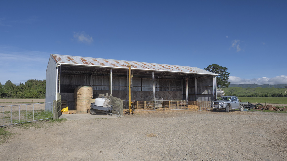 Right Size, Right Place with Quality Soils