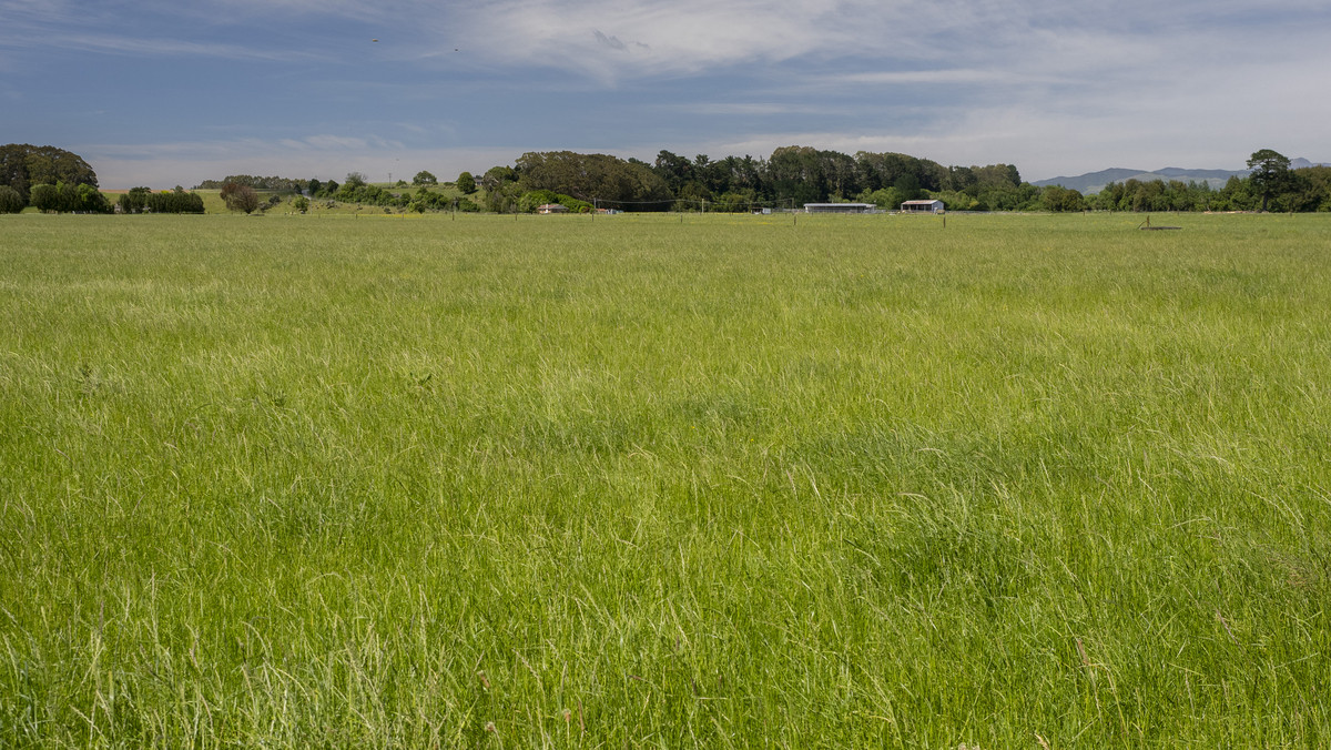 Right Size, Right Place with Quality Soils