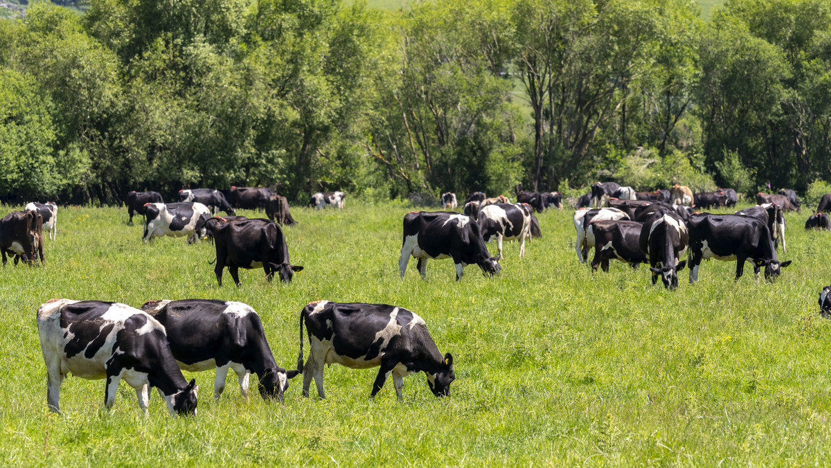 Right Size, Right Place with Quality Soils