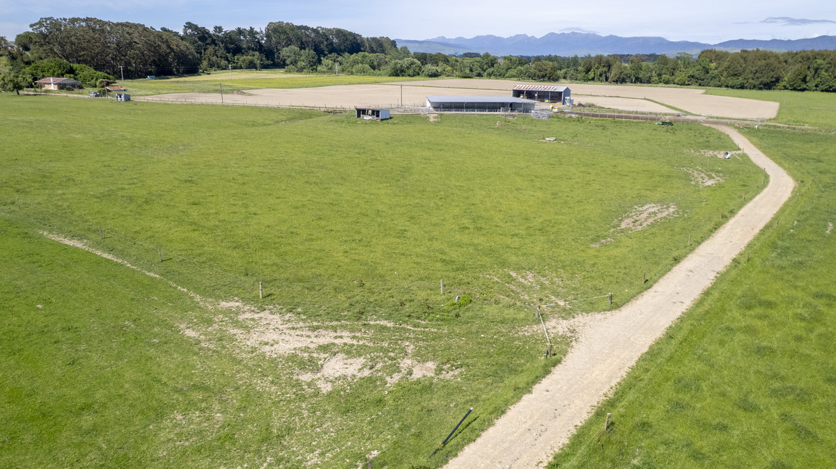 Right Size, Right Place with Quality Soils