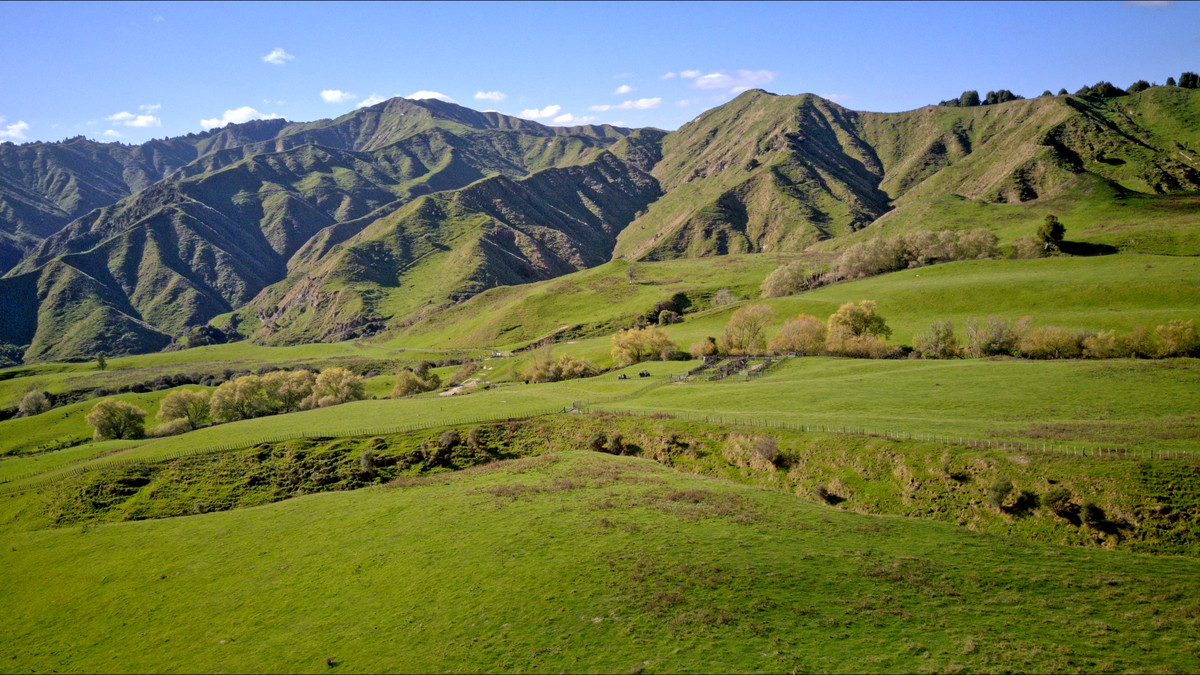 Muster Up And Move Into The Murumuru Valley!