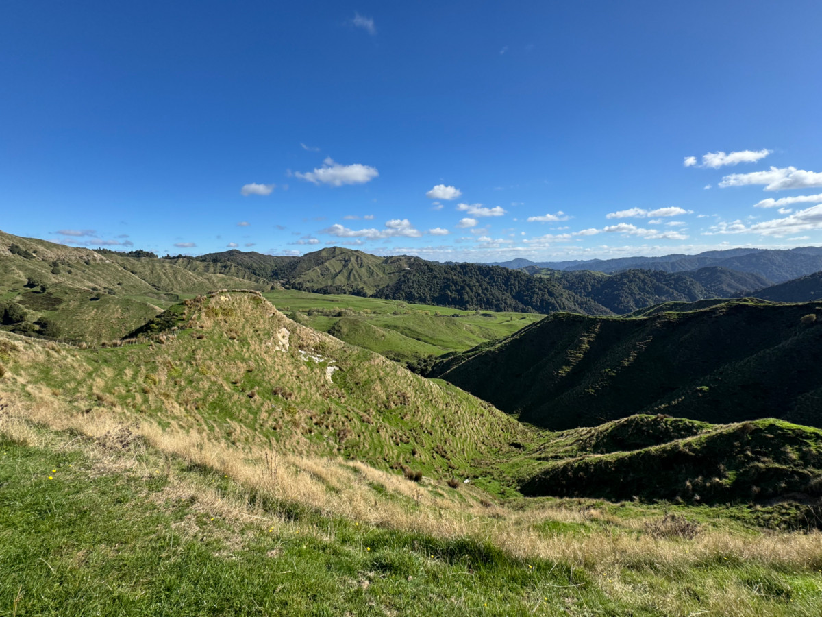 Muster Up And Move Into The Murumuru Valley!