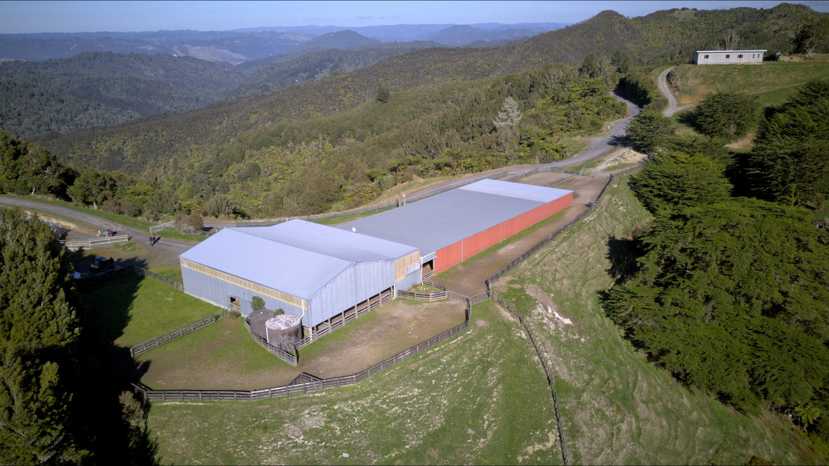 Muster Up And Move Into The Murumuru Valley!
