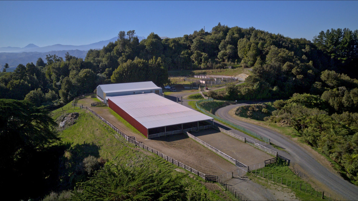 Muster Up And Move Into The Murumuru Valley!
