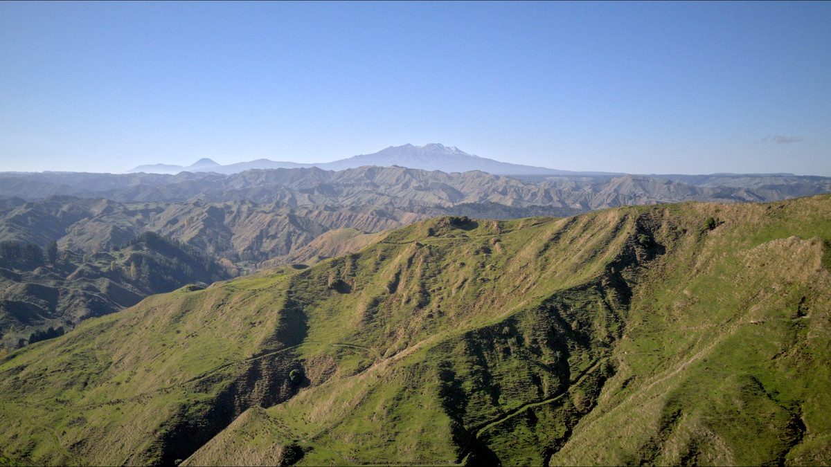 Muster Up And Move Into The Murumuru Valley!