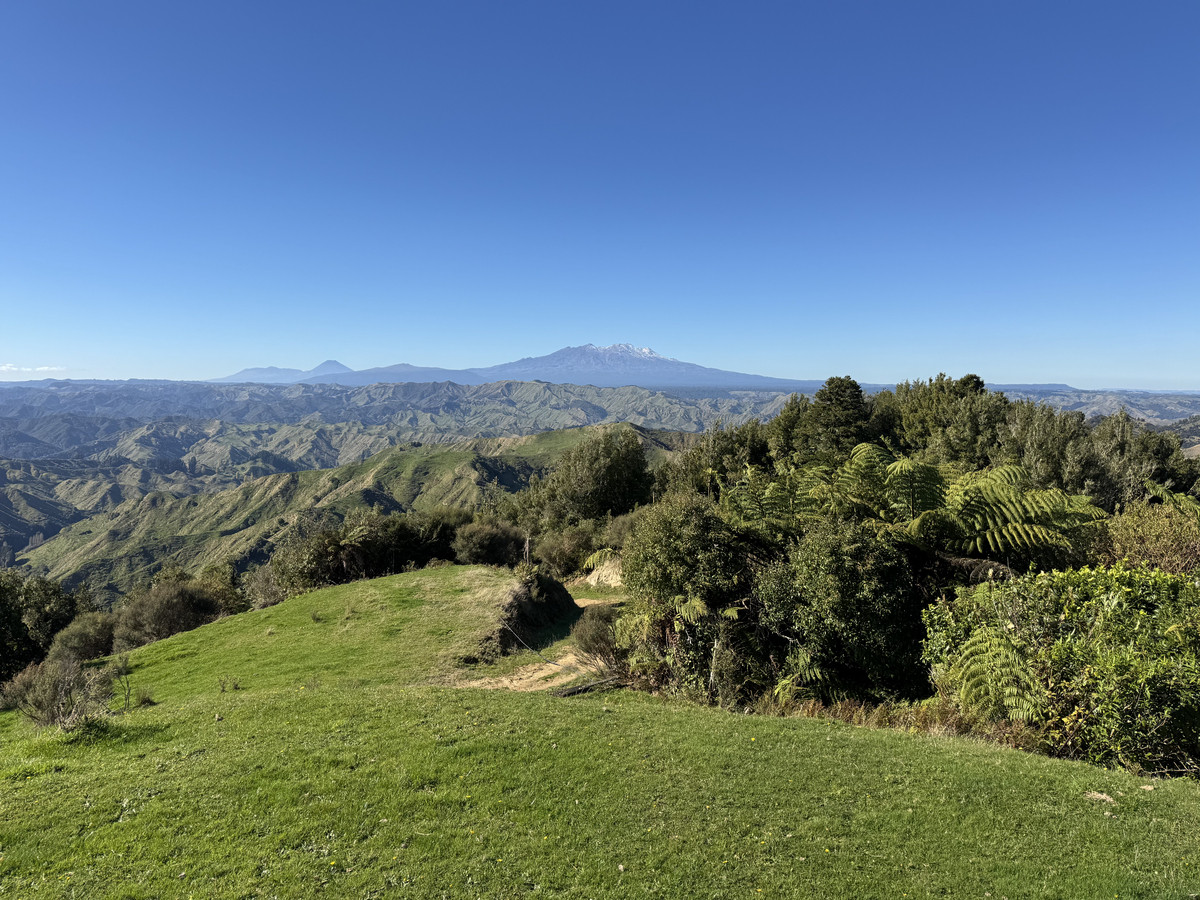 Muster Up And Move Into The Murumuru Valley!