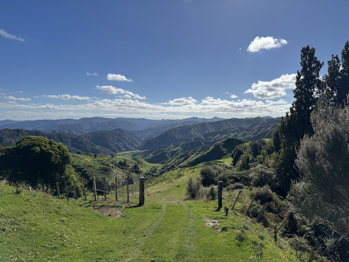 Muster Up And Move Into The Murumuru Valley!