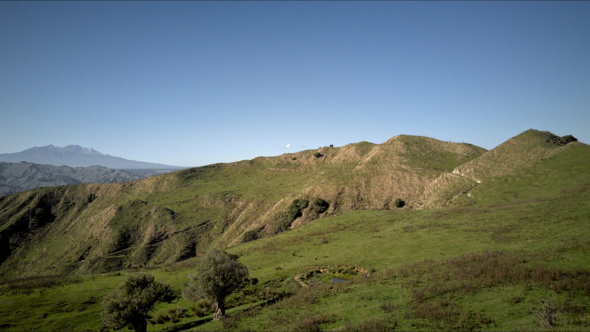 Muster Up And Move Into The Murumuru Valley!