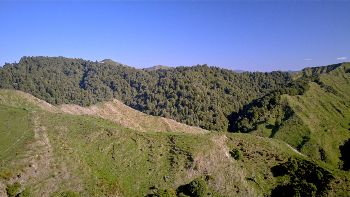 Muster Up And Move Into The Murumuru Valley!