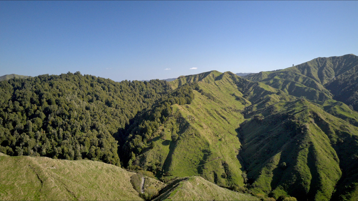 Muster Up And Move Into The Murumuru Valley!