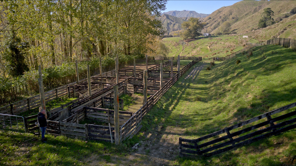 Muster Up And Move Into The Murumuru Valley!