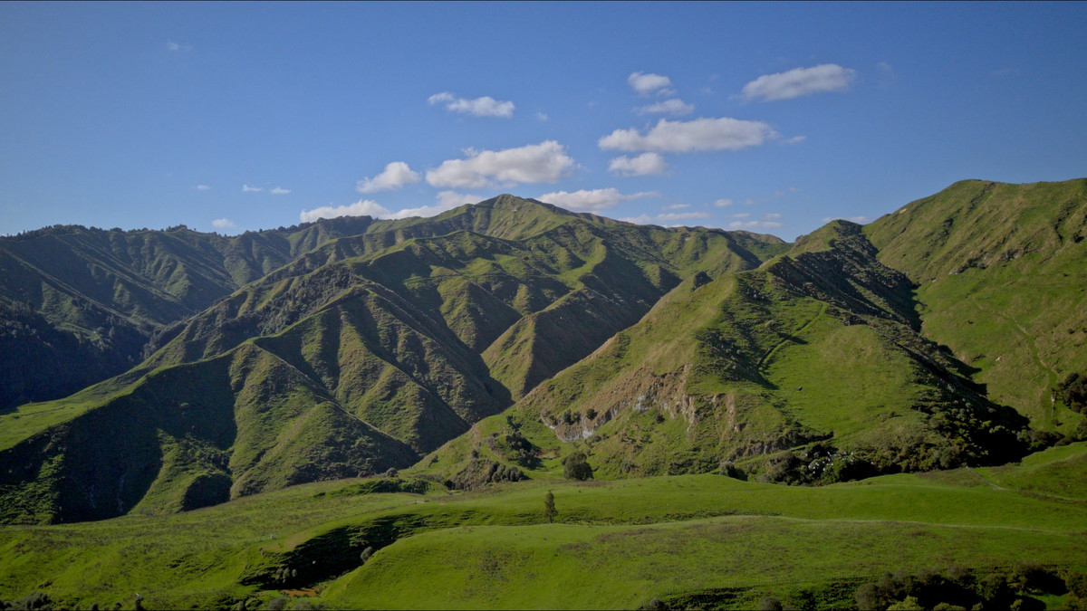 Muster Up And Move Into The Murumuru Valley!