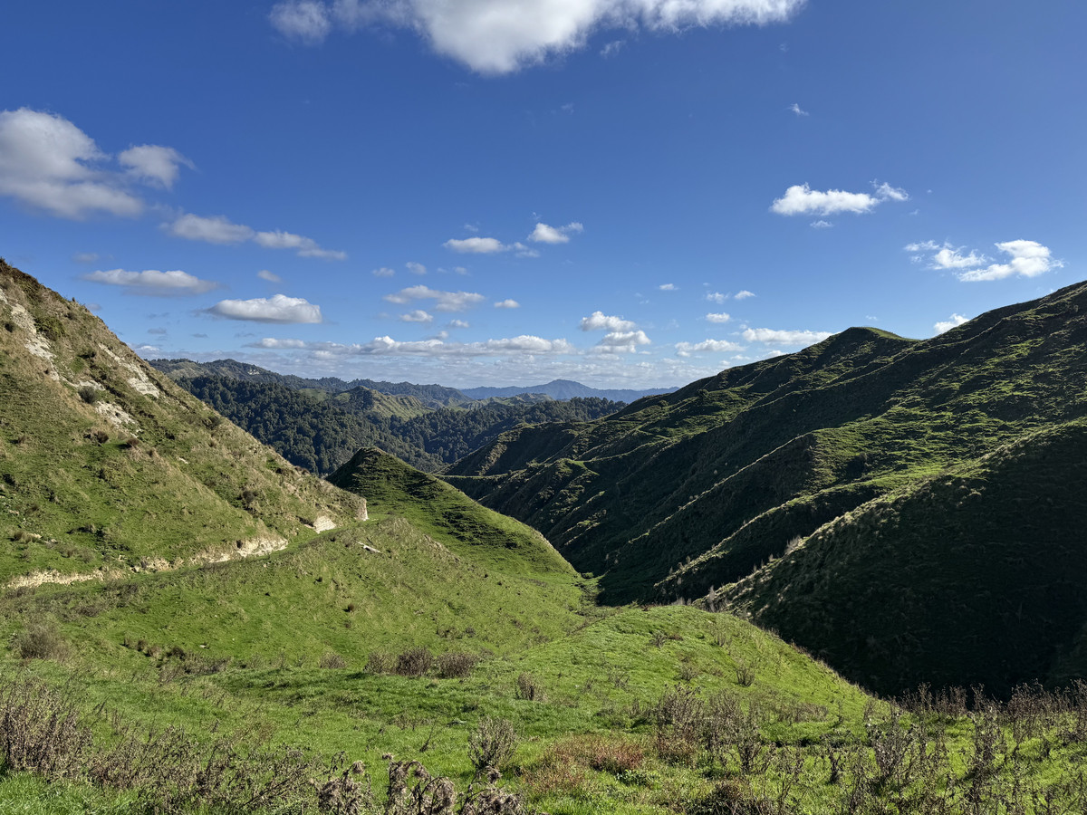 Muster Up And Move Into The Murumuru Valley!
