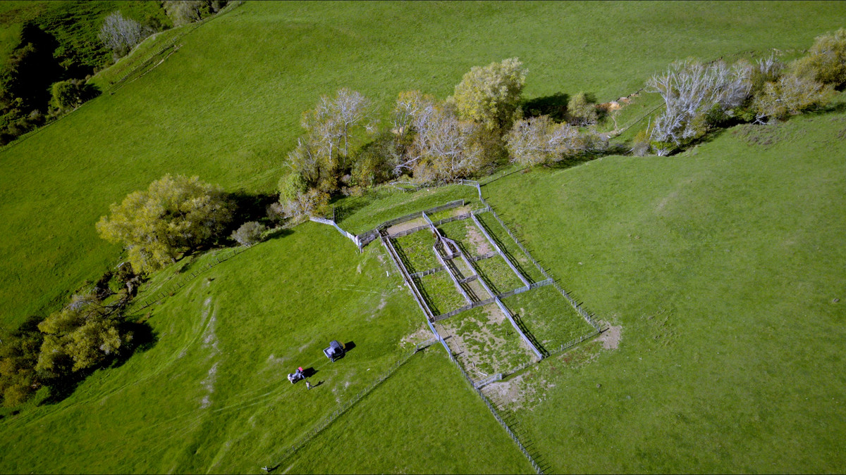 Muster Up And Move Into The Murumuru Valley!