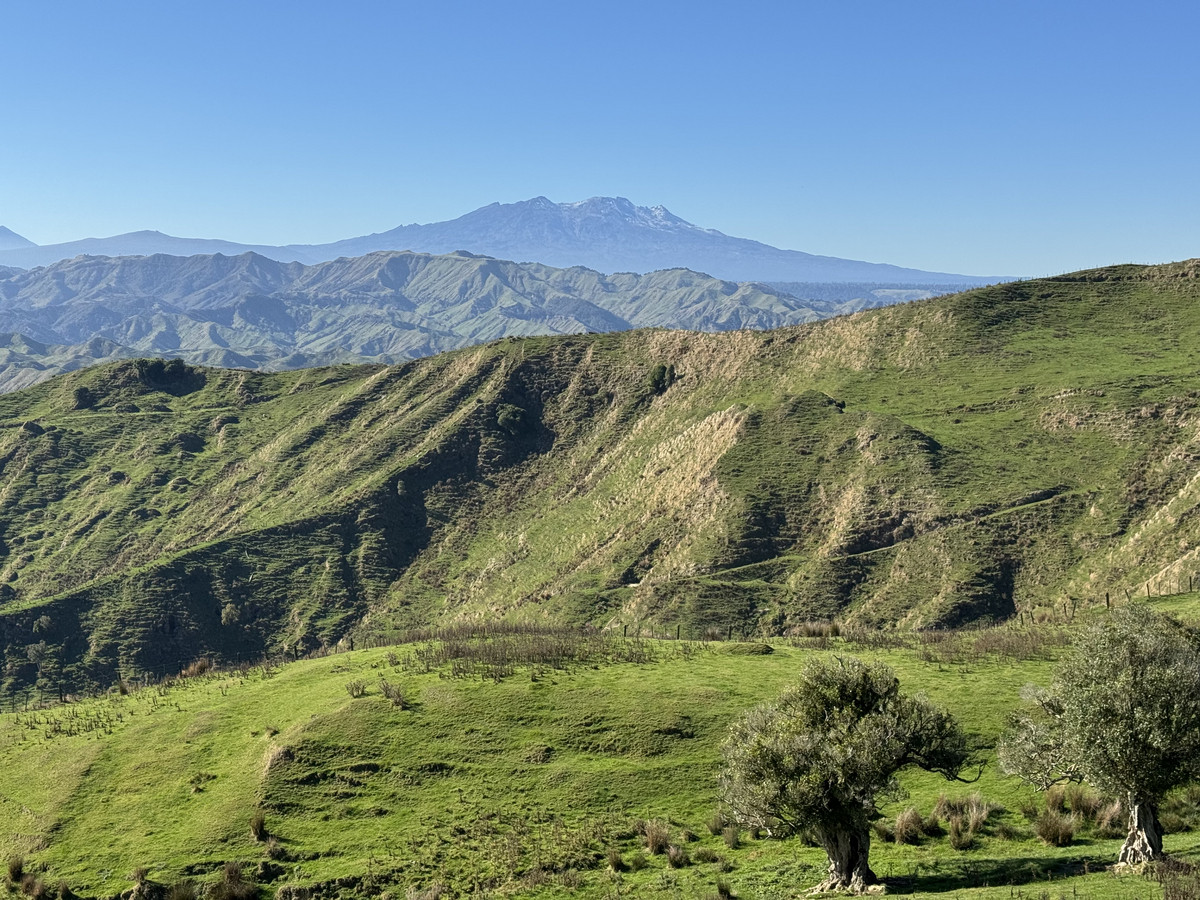 Muster Up And Move Into The Murumuru Valley!