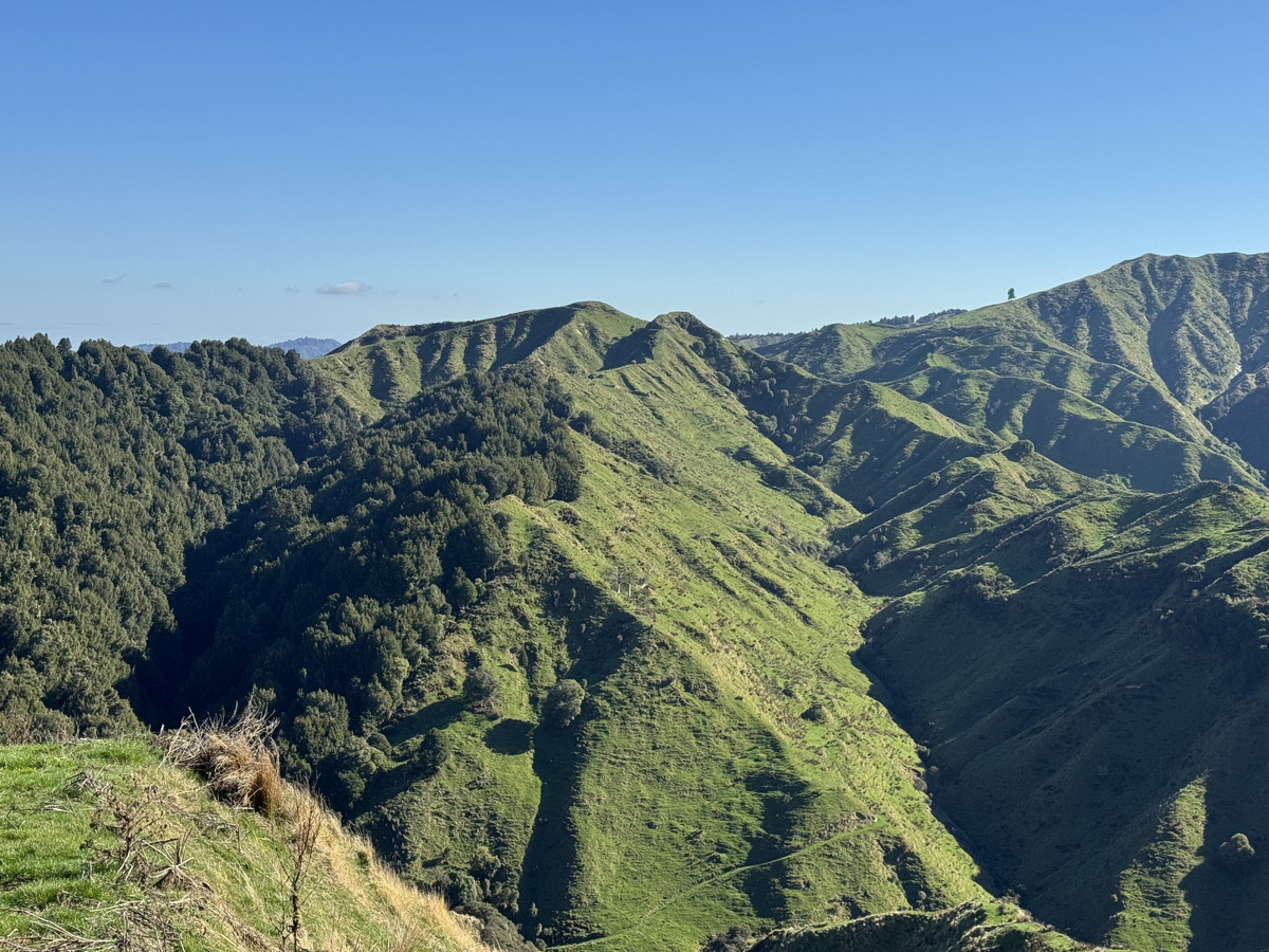 Muster Up And Move Into The Murumuru Valley!