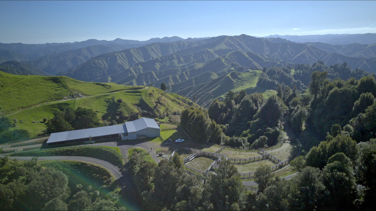 Muster Up And Move Into The Murumuru Valley!