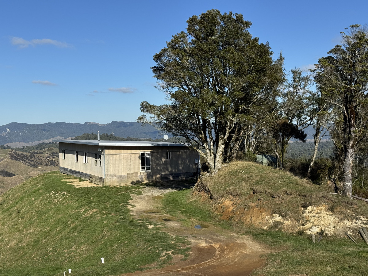 Muster Up And Move Into The Murumuru Valley!