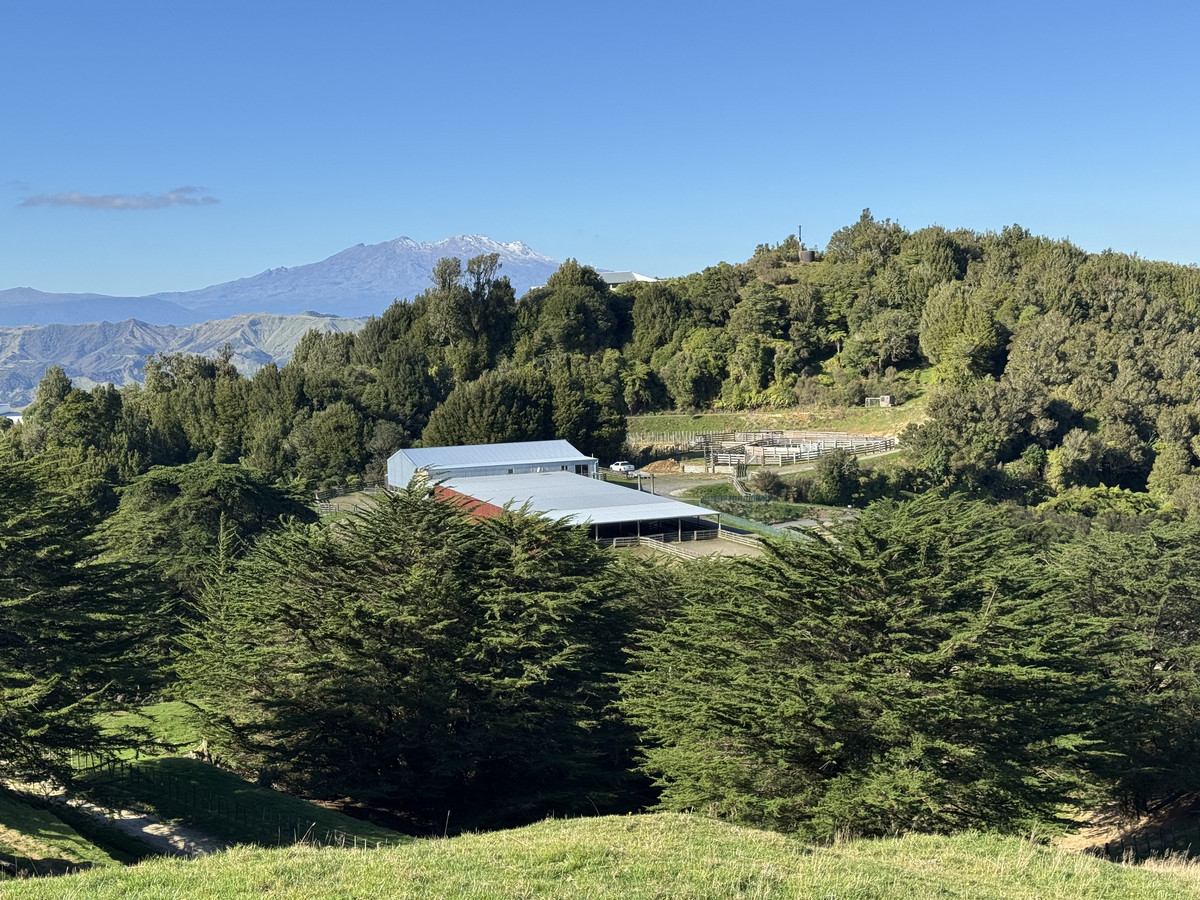 Muster Up And Move Into The Murumuru Valley!
