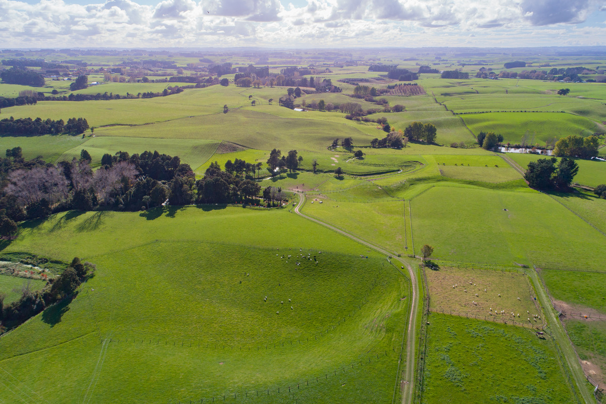 Attractive, Well Fenced, Watered + Massive Sheds!