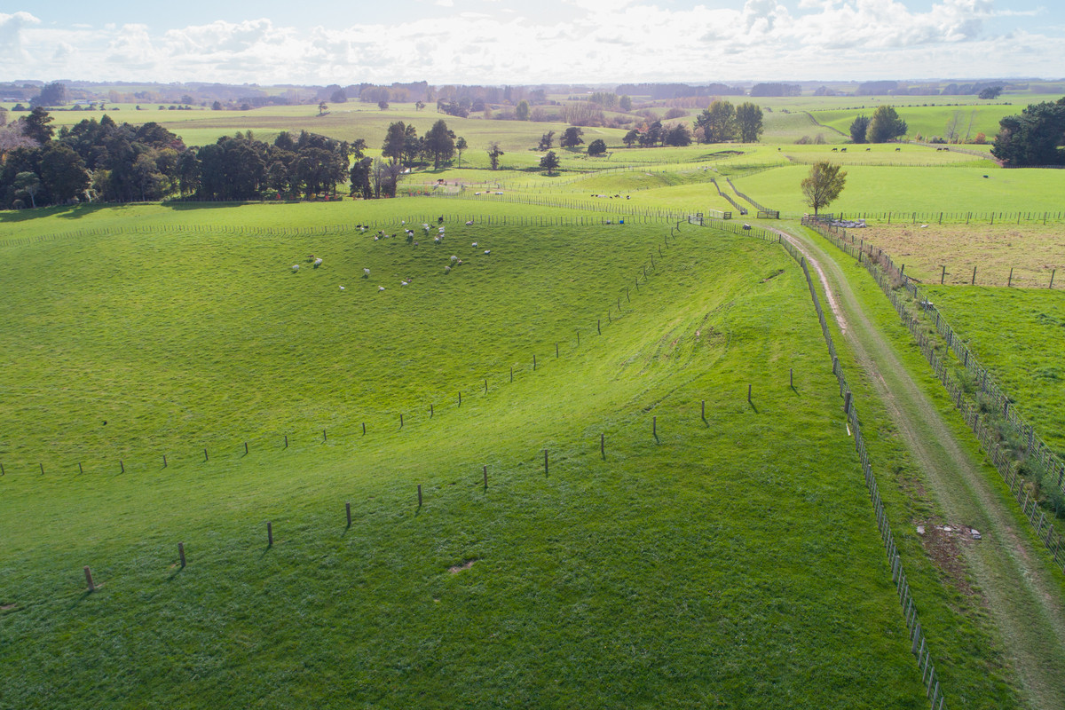 Attractive, Well Fenced, Watered + Massive Sheds!