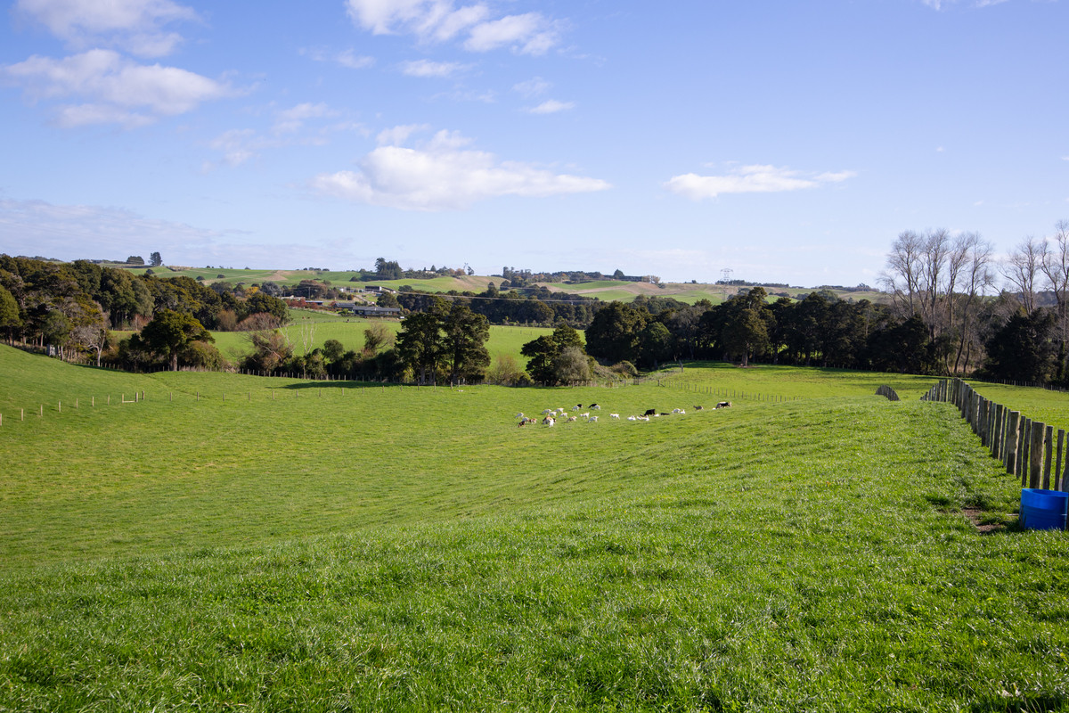 Attractive, Well Fenced, Watered + Massive Sheds!