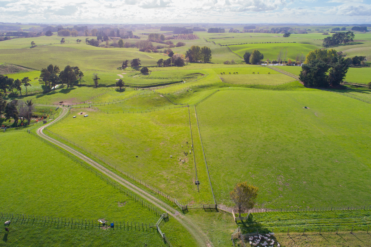 Attractive, Well Fenced, Watered + Massive Sheds!