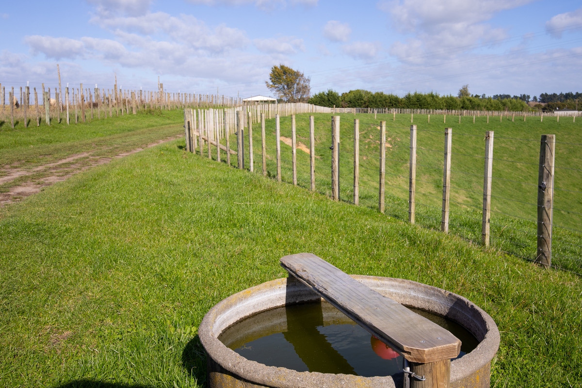Attractive, Well Fenced, Watered + Massive Sheds!
