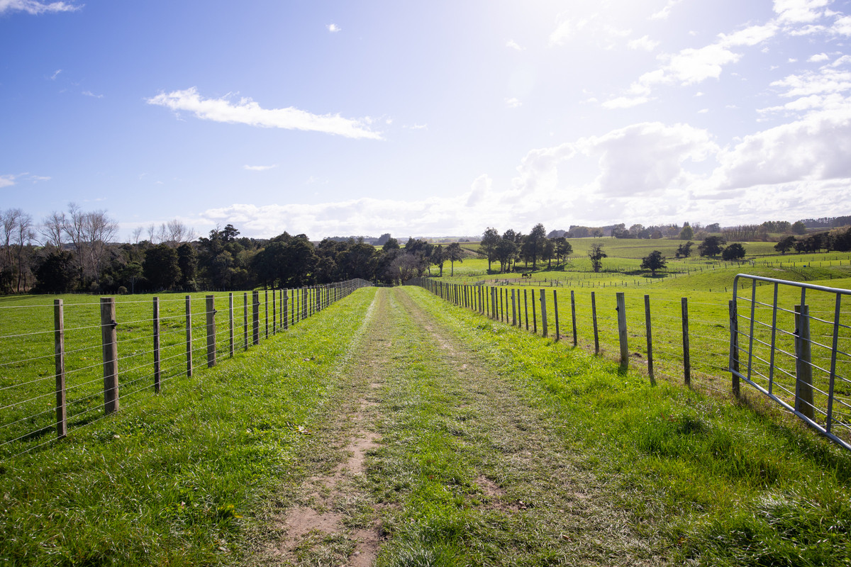 Attractive, Well Fenced, Watered + Massive Sheds!