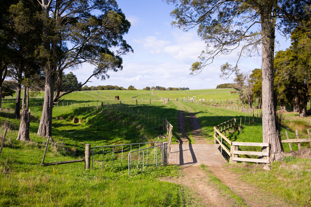 Attractive, Well Fenced, Watered + Massive Sheds!
