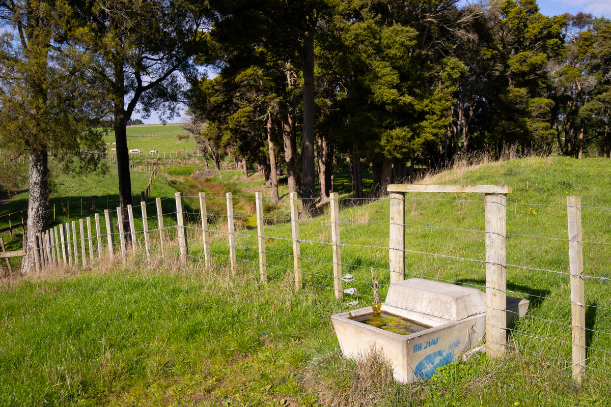 Attractive, Well Fenced, Watered + Massive Sheds!