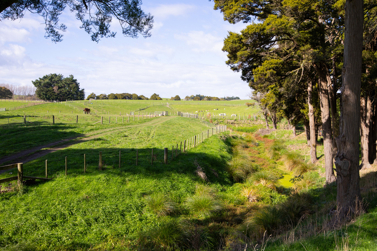 Attractive, Well Fenced, Watered + Massive Sheds!