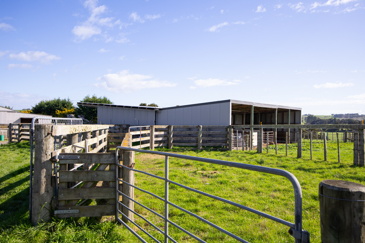 Attractive, Well Fenced, Watered + Massive Sheds!