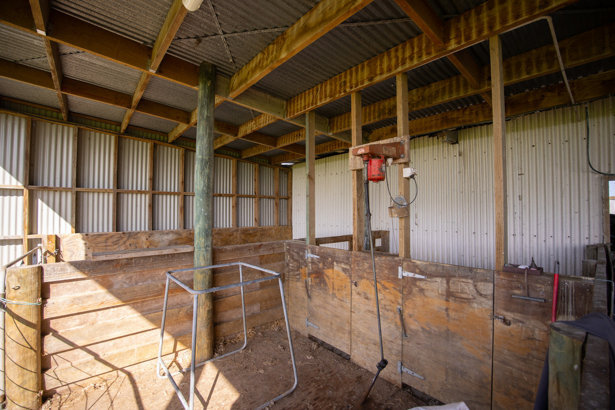 Attractive, Well Fenced, Watered + Massive Sheds!