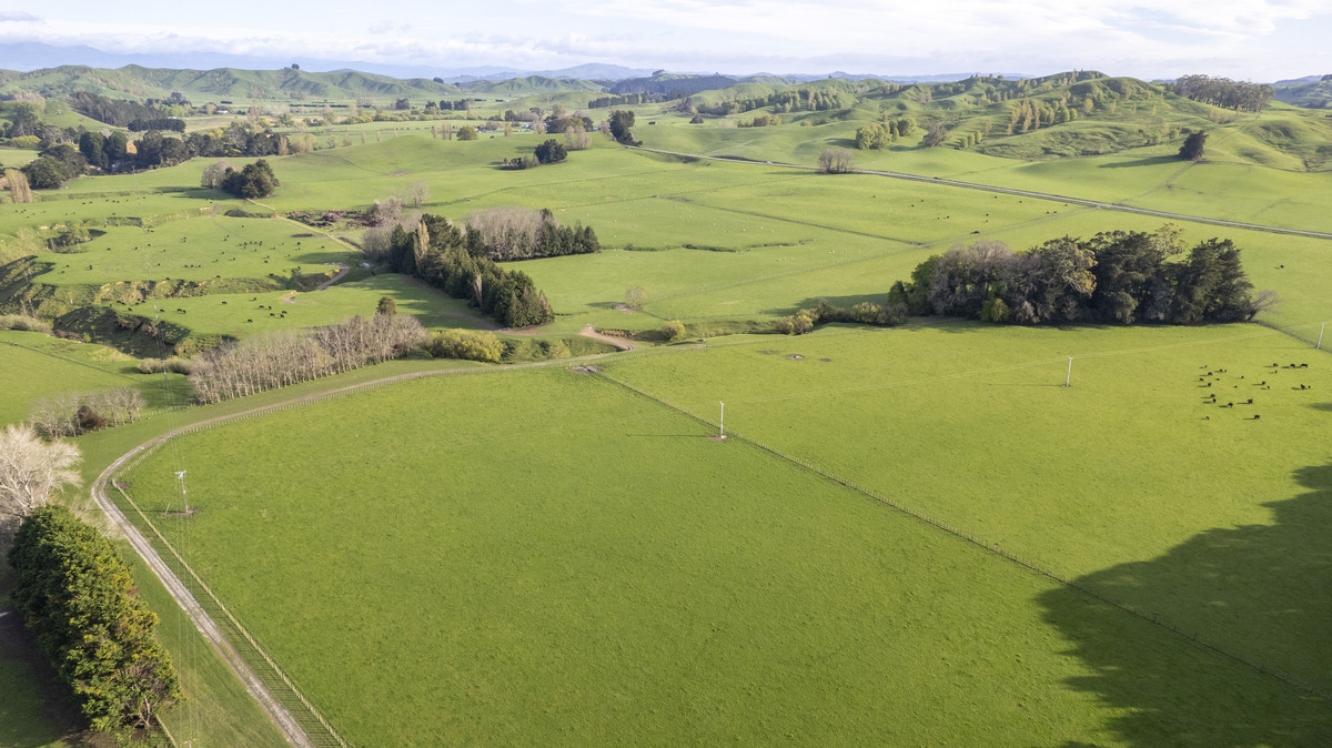 Morland – Exceptional Contour, Infrastructure and Reputation