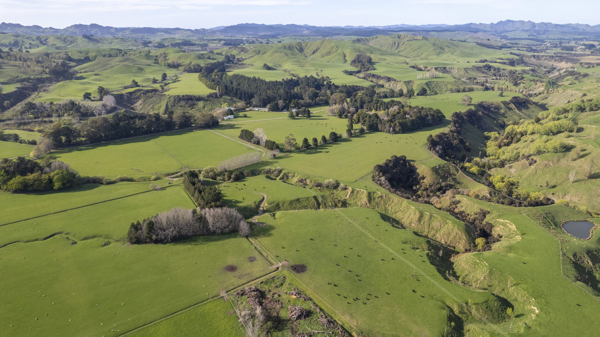 Morland – Exceptional Contour, Infrastructure and Reputation