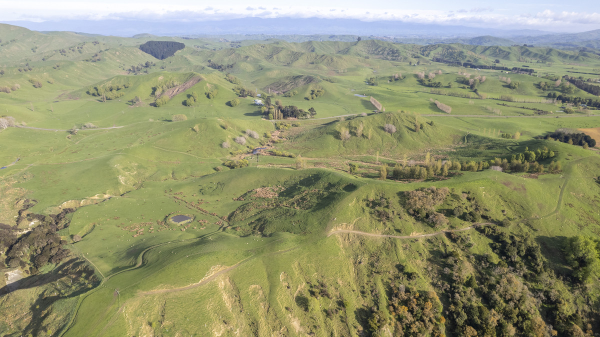 Morland – Exceptional Contour, Infrastructure and Reputation