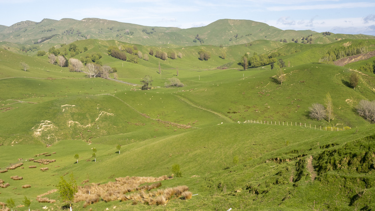 Morland – Exceptional Contour, Infrastructure and Reputation