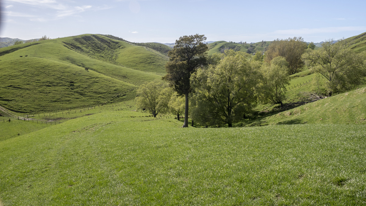 Morland – Exceptional Contour, Infrastructure and Reputation