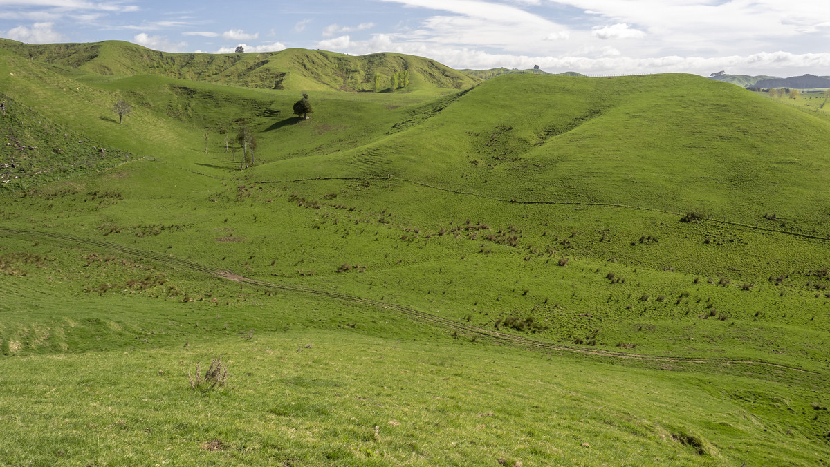 Morland – Exceptional Contour, Infrastructure and Reputation