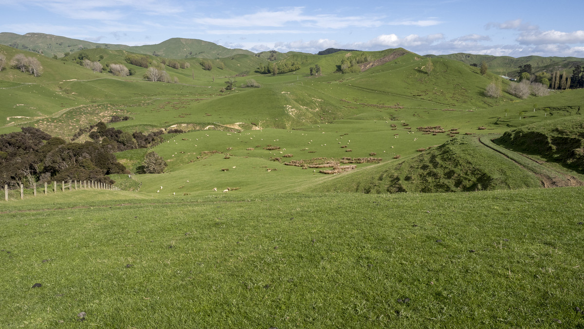 Morland – Exceptional Contour, Infrastructure and Reputation