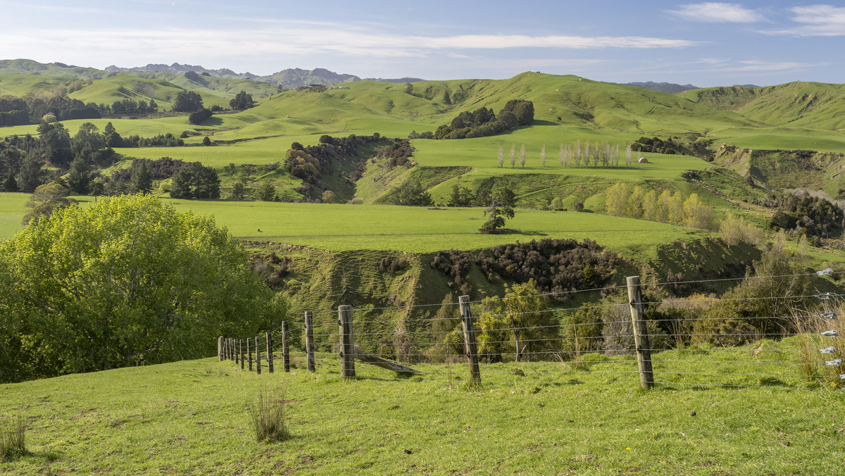 Morland – Exceptional Contour, Infrastructure and Reputation