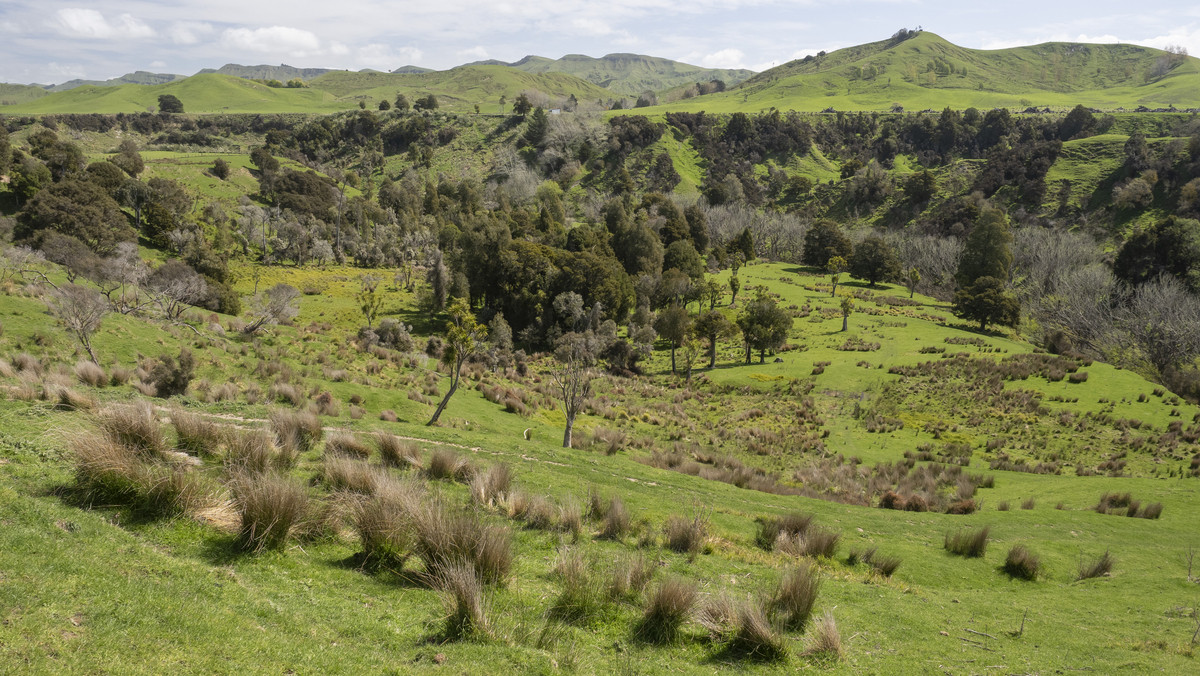 Morland – Exceptional Contour, Infrastructure and Reputation