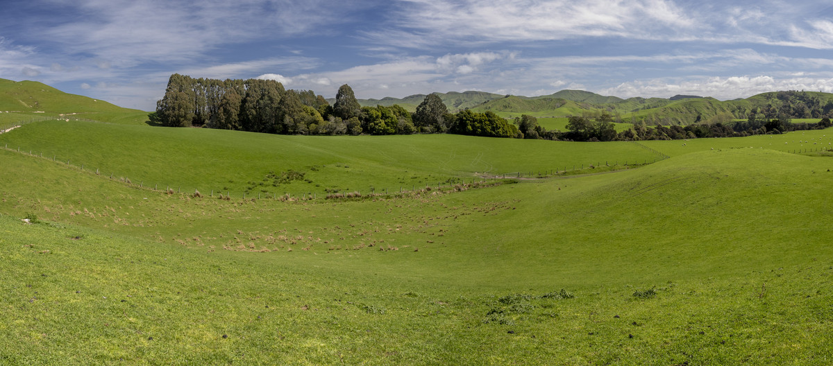 Morland – Exceptional Contour, Infrastructure and Reputation