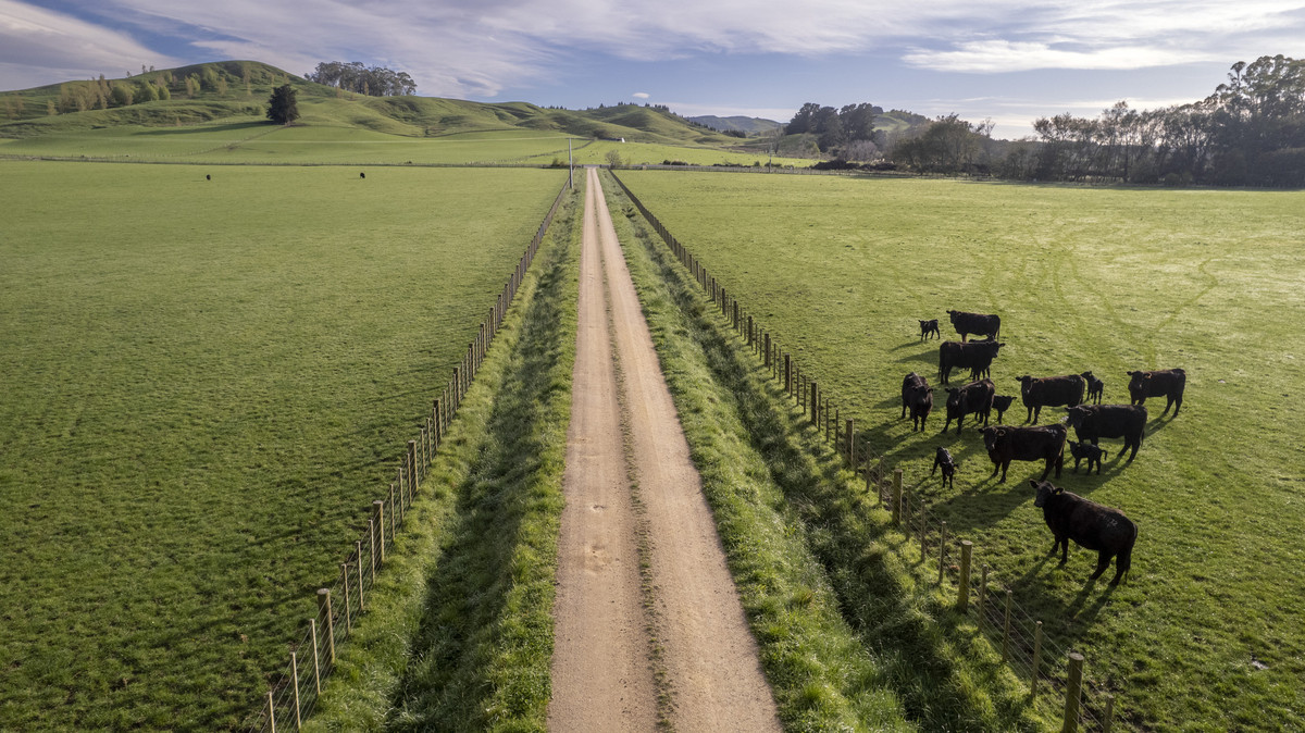 Morland – Exceptional Contour, Infrastructure and Reputation