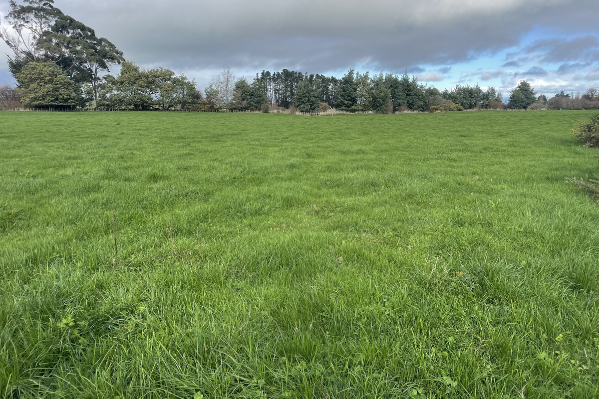Value Bareland Lifestyle - 3.38ha (sts)