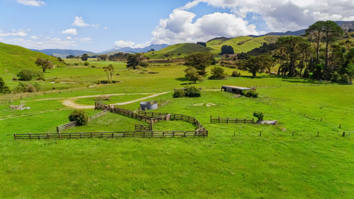 Run off or Small Farm – 81ha Bare Land