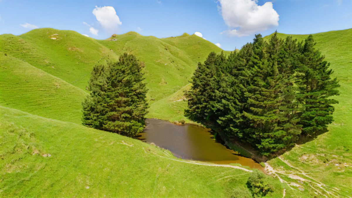 Run off or Small Farm – 81ha Bare Land