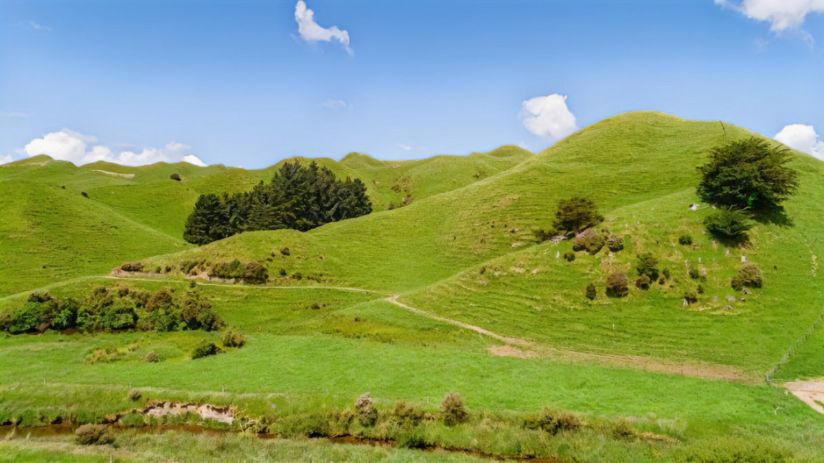 Run off or Small Farm – 81ha Bare Land